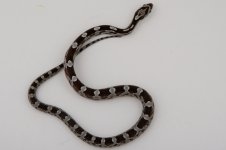 11-3-8 0-1 Anery.jpg