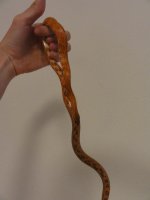 DSC01877.JPG