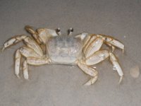 12.JPG