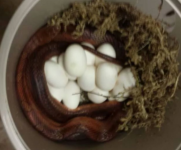 2014-06-06 20.13.24.png