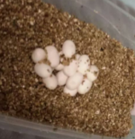 2014-06-06 20.13.51.png