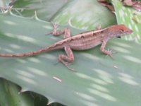 20.JPG