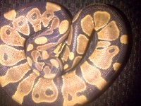 Pretoria-20131222-03078.jpg