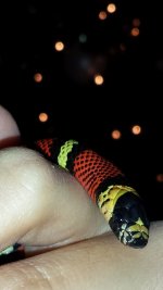 20131224_150640 (450x800).jpg
