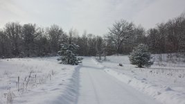 20131214_113959_Richtone(HDR) (800x450).jpg