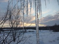 20131225_160916_Richtone(HDR) (800x600).jpg