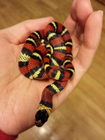 20131225_202350 (600x800).jpg
