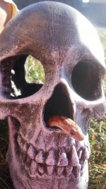 2014-09-12 17.11.32 (448x800).jpg