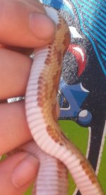 2014-09-12 17.17.16 (435x800).jpg