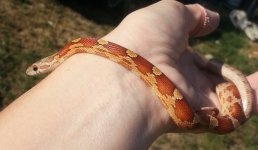 2014-09-12 17.19.18 (800x466).jpg