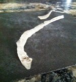 ImageUploadedByTapatalk1410653959.805285.jpg ImageUploadedByTapatalk1410653959.805285.jpg