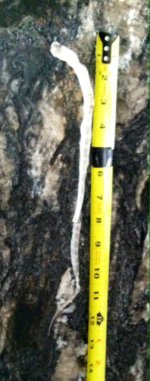 ImageUploadedByTapatalk1410653995.053065.jpg ImageUploadedByTapatalk1410653995.053065.jpg