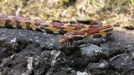 20130819_122034 (800x450).jpg