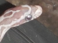 20140612-332.JPG