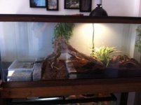 snakes 028.jpg