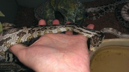 IMAG0674.jpg