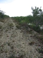 Brooks Habitat 1.jpg