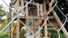 20130821_163814 (800x450).jpg