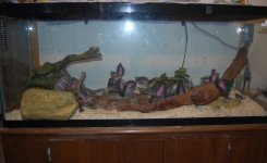 DSC_0030.jpg DSC_0030.jpg