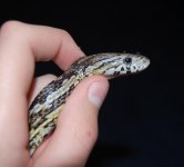 DSC_0038.JPG DSC_0038.JPG