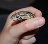 DSC_0037.JPG DSC_0037.JPG