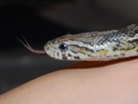 DSC_0034.JPG DSC_0034.JPG