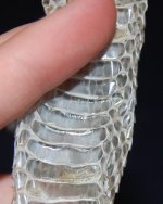 DSC_0031.JPG DSC_0031.JPG