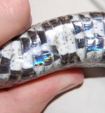 DSC_0033.JPG DSC_0033.JPG