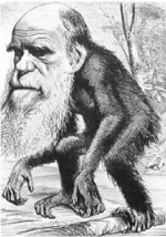 darwin2.gif