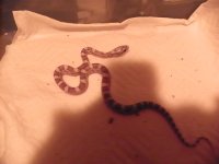 Baby6.JPG