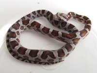 14-31-2M.jpg