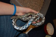 DSC_0191.JPG
