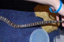 DSC_0195.JPG