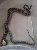 Photo Aug 16, 2 19 06 PM.jpg