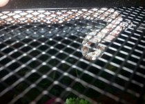 IMG_201409201263.jpg