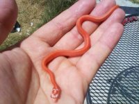 2011-07-27 14.36.43.jpg