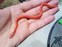 2011-07-27 14.36.53.jpg