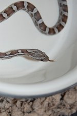 DSC_0174.jpg