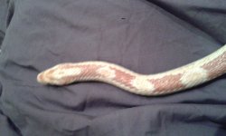 20150515_010024.jpg