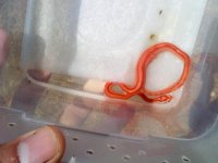 2011-07-30 10.36.20.jpg