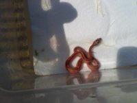 2011-07-30 10.39.14.jpg