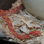 February 2013 (9) 1 (800x791).jpg February 2013 (9) 1 (800x791).jpg