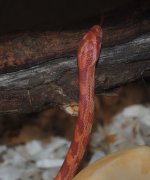 February 2013 (10) 1 (668x800).jpg February 2013 (10) 1 (668x800).jpg