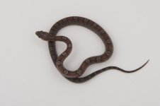 11-4-10 1-0 Pewter.jpg