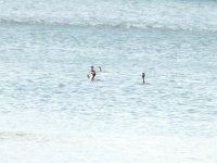 180 (500x375).jpg