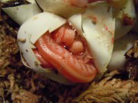 DSCN3838.JPG