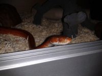 2014-01-08 21.28.53.jpg