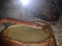 2014-01-08 21.37.07.jpg