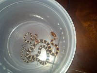 2013-09-01_21-19-40_257.jpg