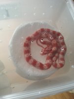 20130616_124925.JPG